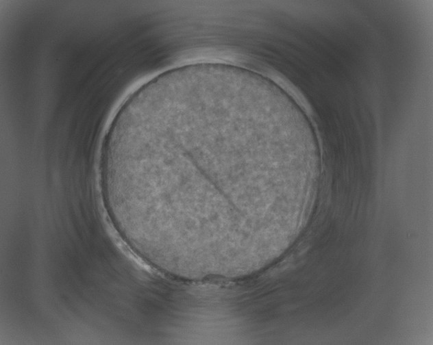 X0000080661104200701121600