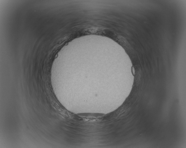 X0000080661105200701121559