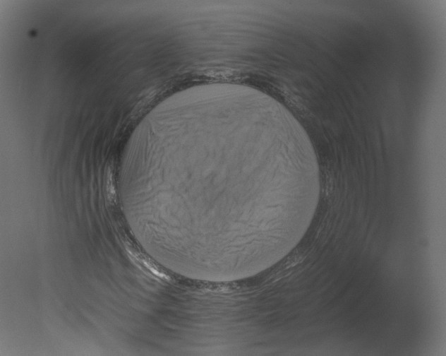 X0000080661106200701121559