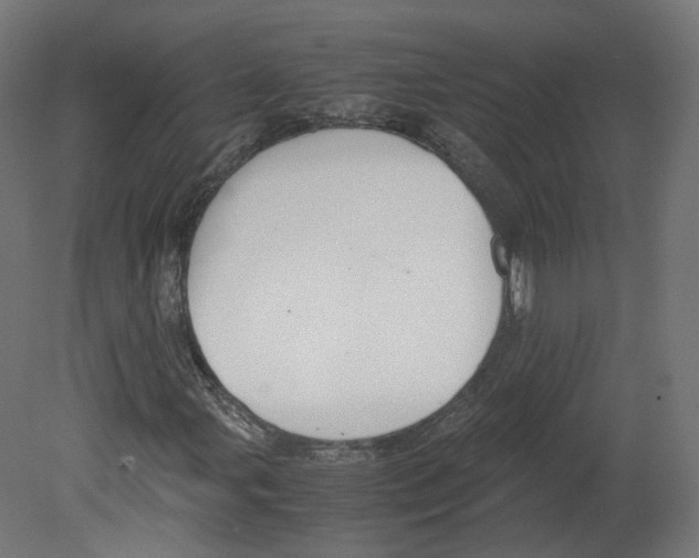 X0000080661107200701121559