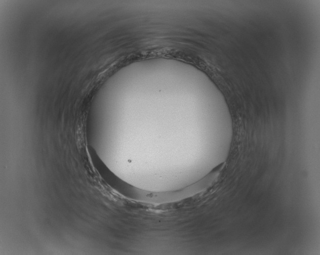 X0000080661109200701121559