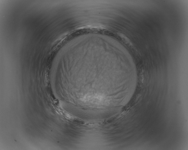 X0000080661110200701121559