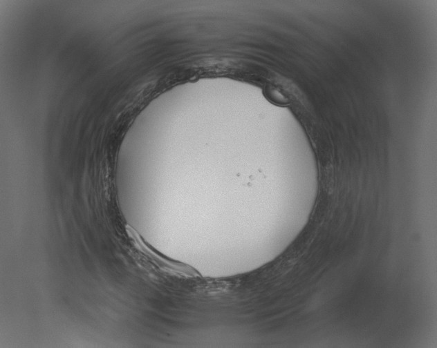 X0000080661111200701121559