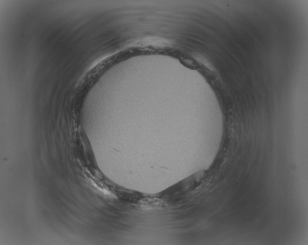 X0000080661112200701121559