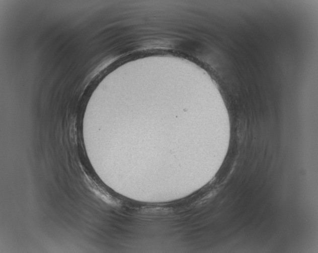 X0000080661113200701121559