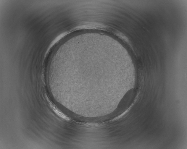 X0000080661114200701121559