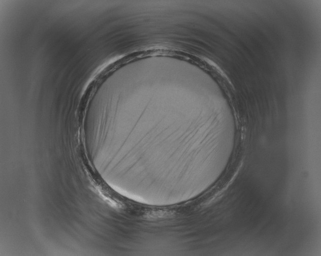 X0000080661117200701121559