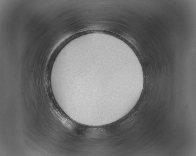 X0000080661119200701121559