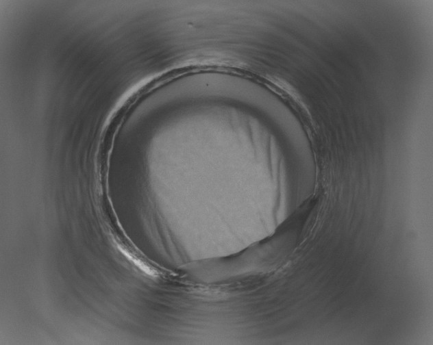 X0000080661120200701121559