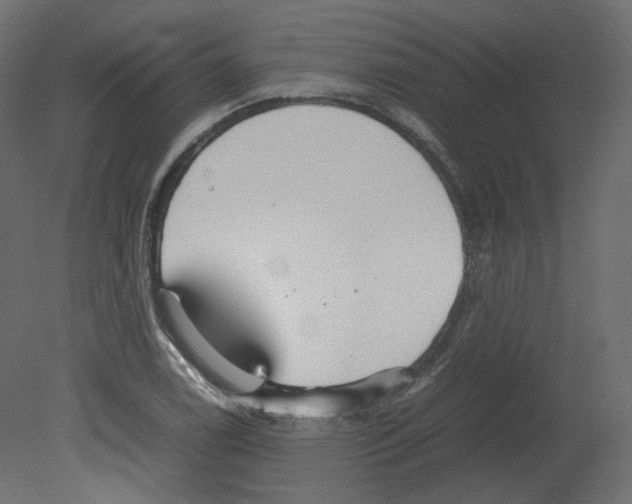 X0000080661122200701121559