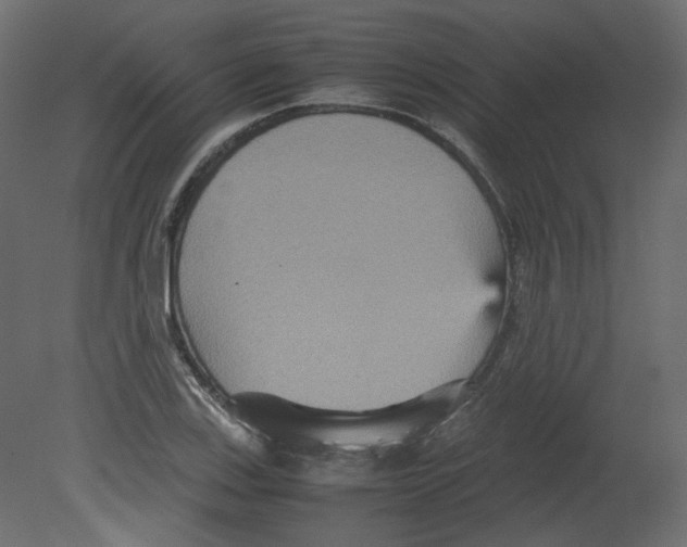 X0000080661123200701121559