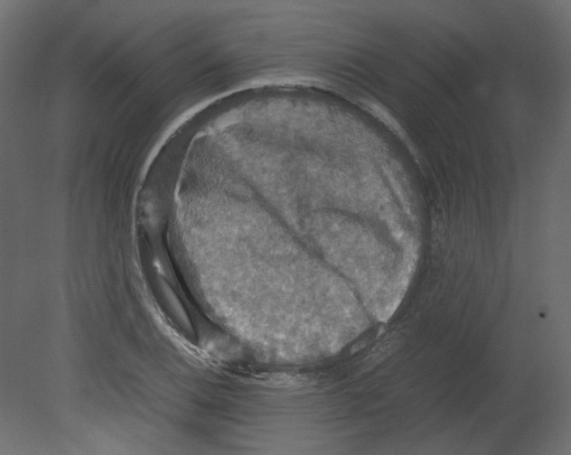 X0000080661124200701121559