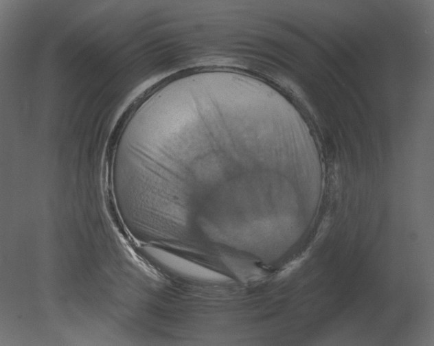 X0000080661125200701121559