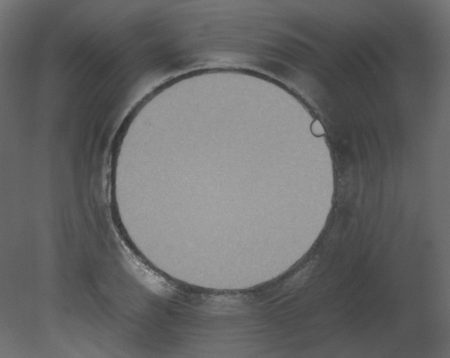 X0000080661126200701121559