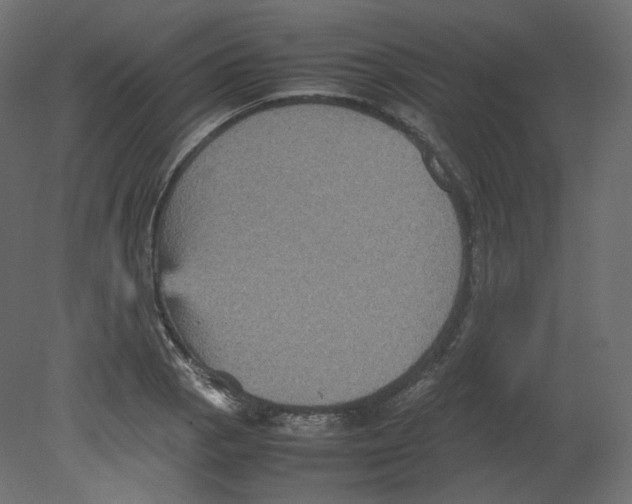 X0000080661129200701121559