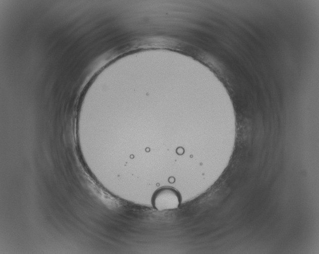 X0000080661130200701121559