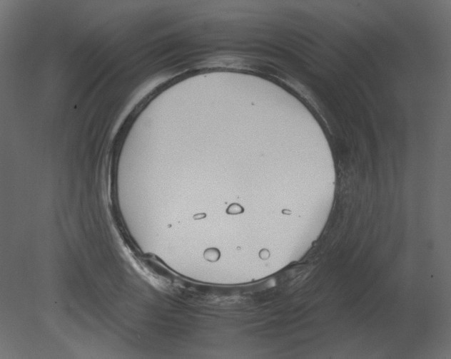 X0000080661131200701121559