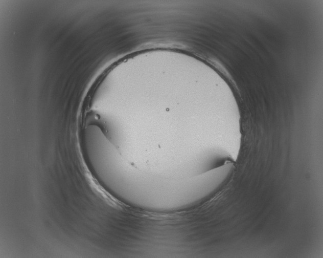 X0000080661132200701121559