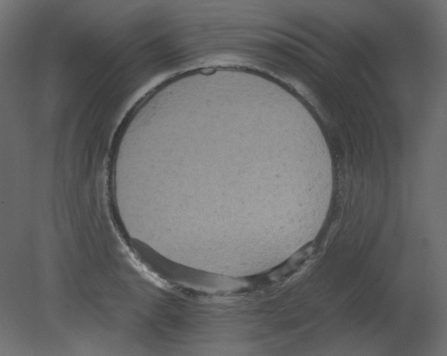 X0000080661134200701121559