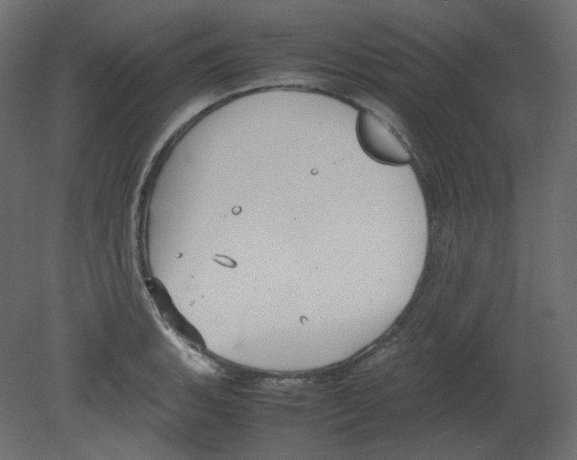 X0000080661135200701121559