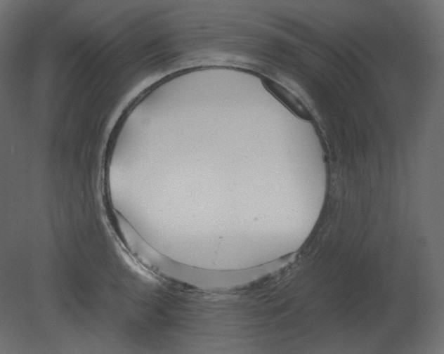 X0000080661136200701121559