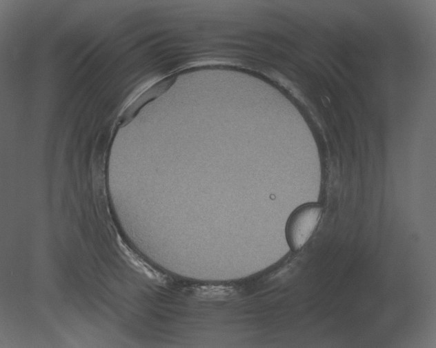 X0000080661137200701121559