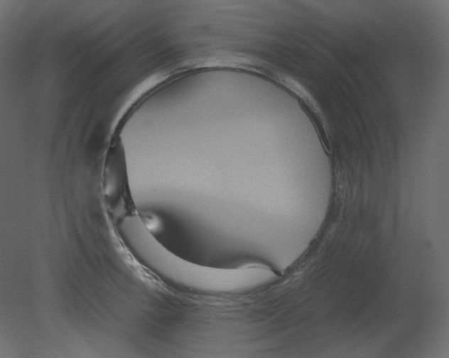 X0000080661138200701121559