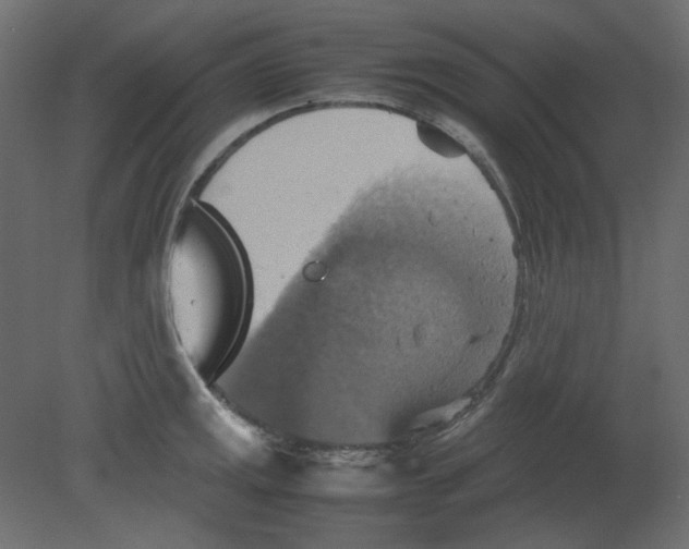 X0000080661141200701121559