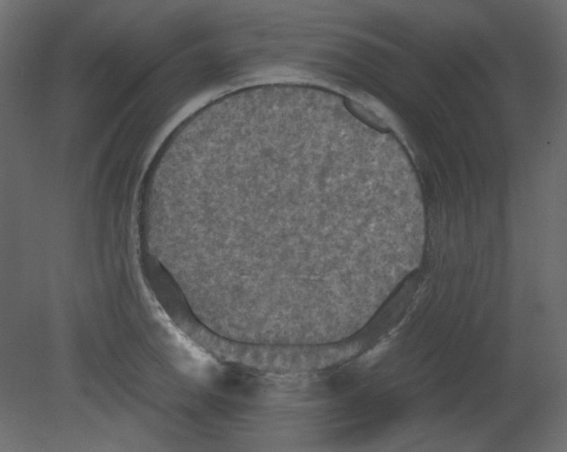 X0000080661142200701121559