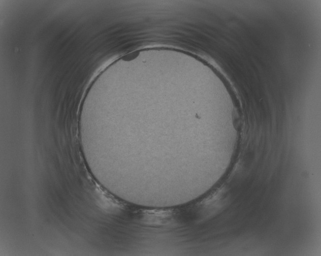 X0000080661145200701121600