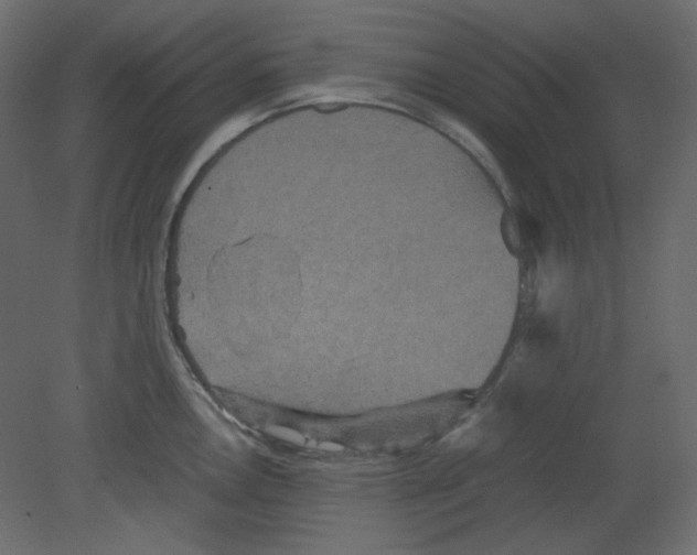 X0000080661146200701121600