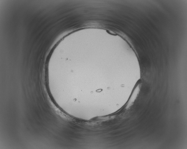 X0000080661147200701121600