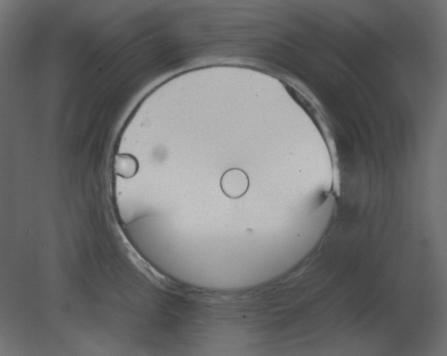 X0000080661148200701121600