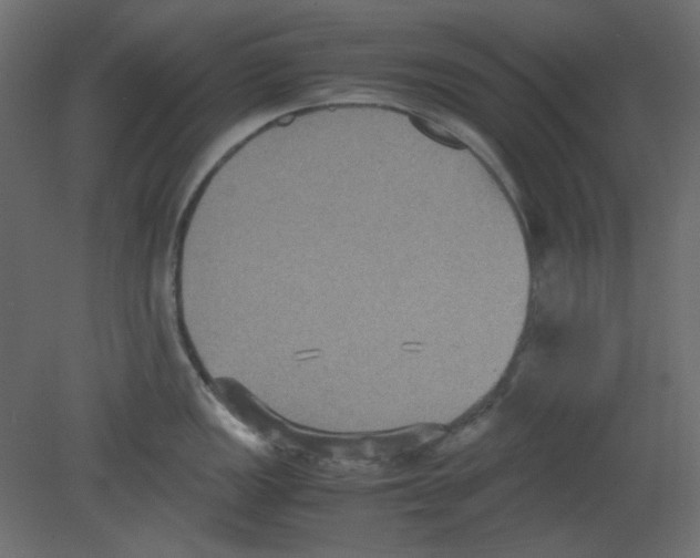 X0000080661149200701121600