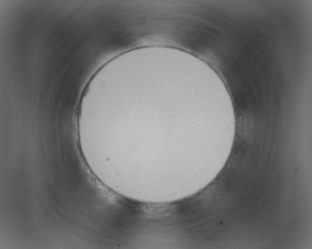 X0000080661150200701121600