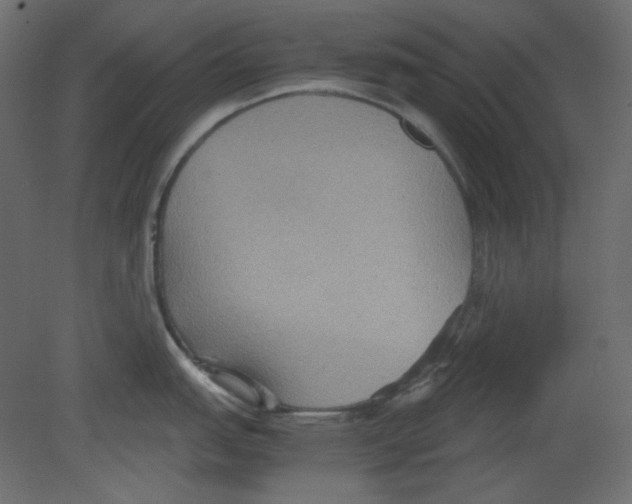 X0000080661151200701121600