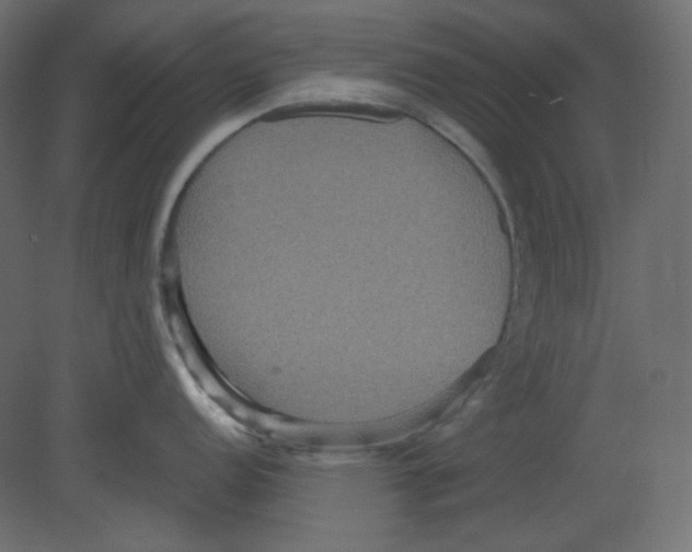 X0000080661152200701121600