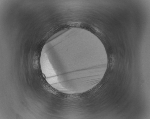 X0000080661154200701121559