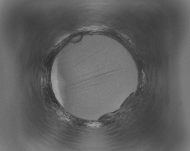 X0000080661158200701121559