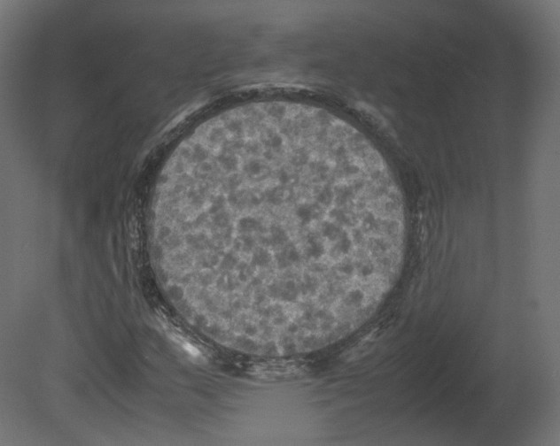 X0000080661159200701121559