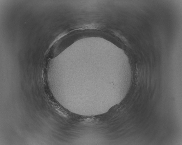 X0000080661160200701121559