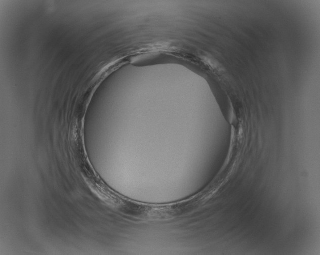 X0000080661161200701121559