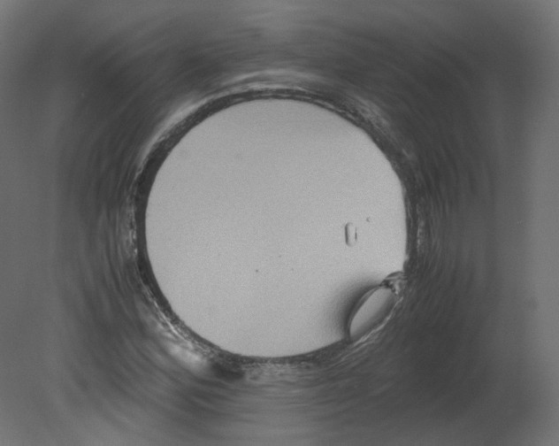 X0000080661164200701121559