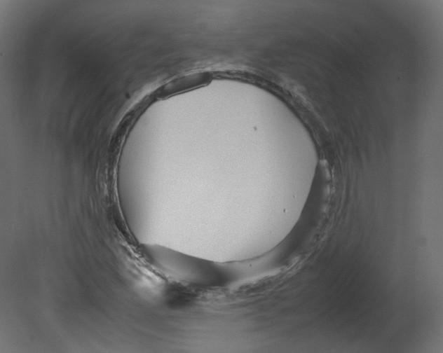 X0000080661165200701121559