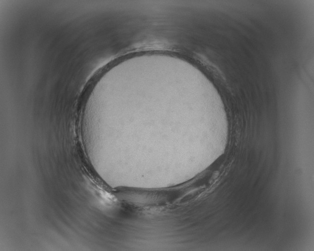 X0000080661166200701121559