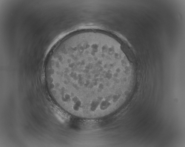 X0000080661167200701121559