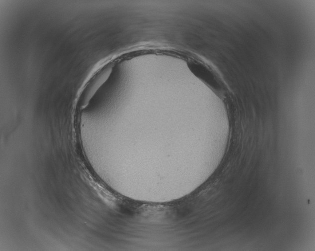 X0000080661168200701121559