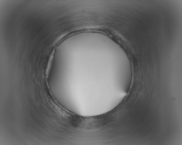 X0000080661169200701121559