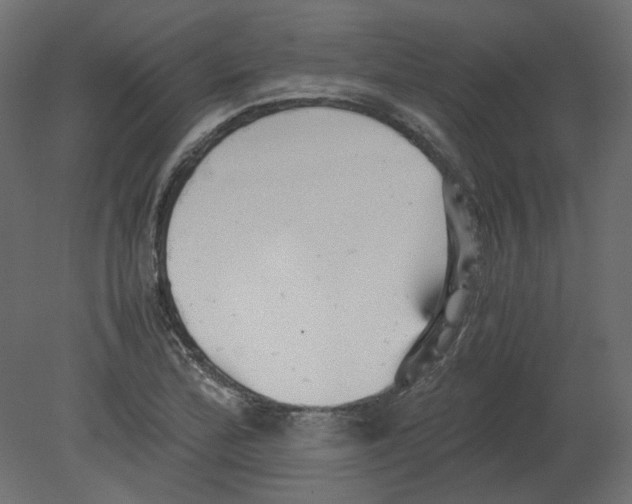 X0000080661172200701121559