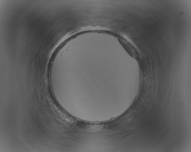 X0000080661173200701121558